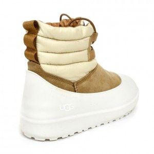 UGG CLASSIC MINI LACE-UP WEATHER CHESTNUT