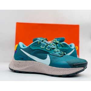 Nike Pegasus Trail 3