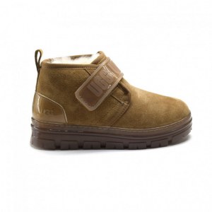 UGG WOMEN`S NEUMEL CLEAR CHESTNUT