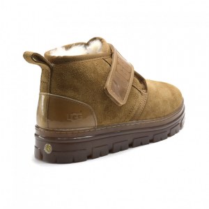 UGG WOMEN`S NEUMEL CLEAR CHESTNUT