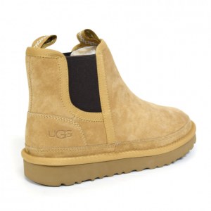 UGG WOMEN`S NEUMEL CHELSEA CHESTNUT