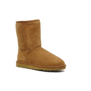 UGG CLASSIC SHORT CHESTNUT