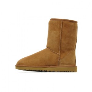 UGG CLASSIC SHORT CHESTNUT