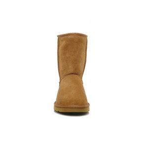 UGG CLASSIC SHORT CHESTNUT