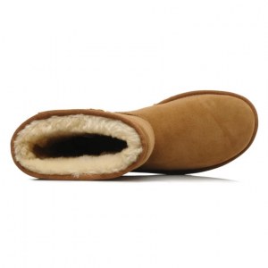 UGG CLASSIC SHORT CHESTNUT